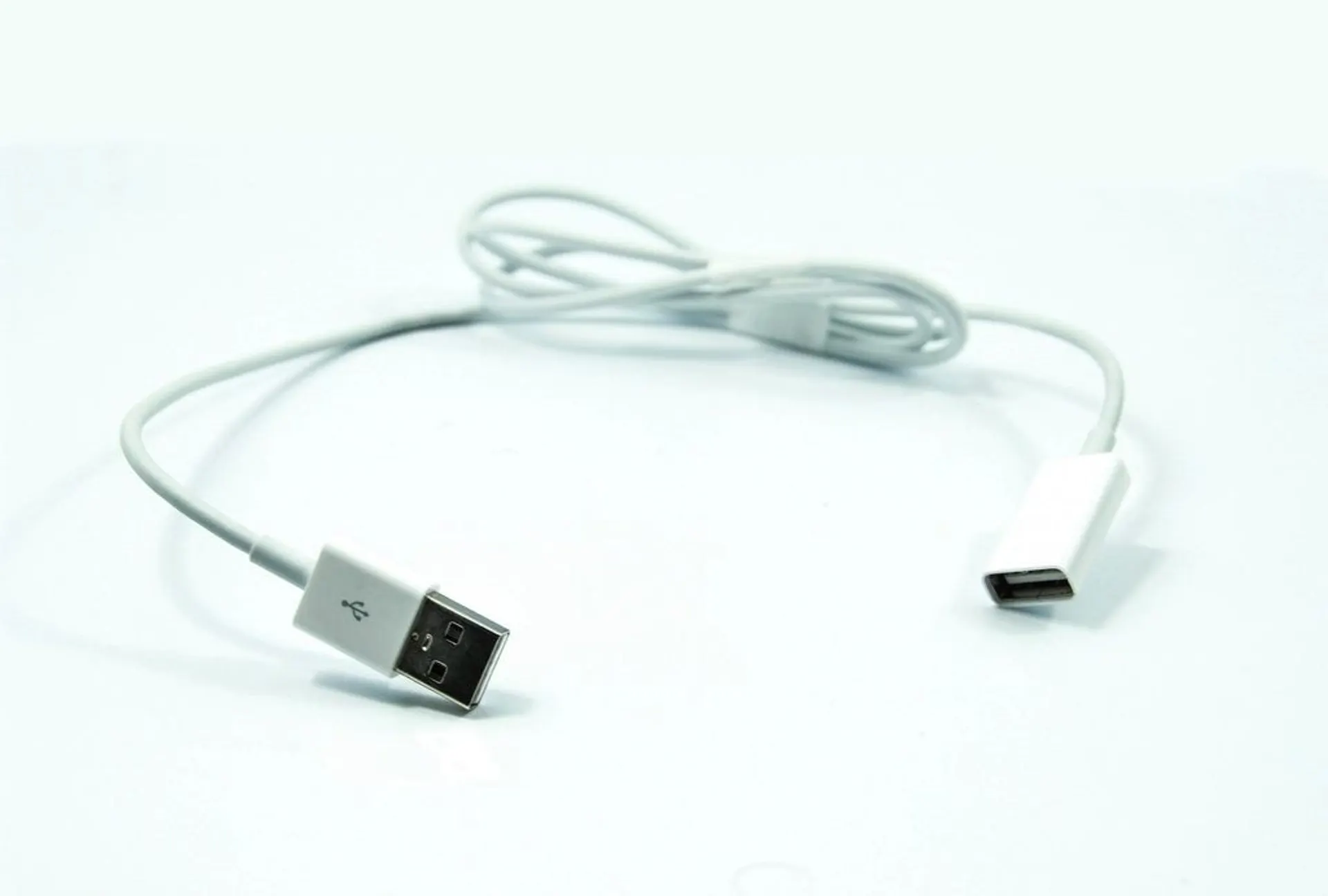 USB-C to Lightning cable